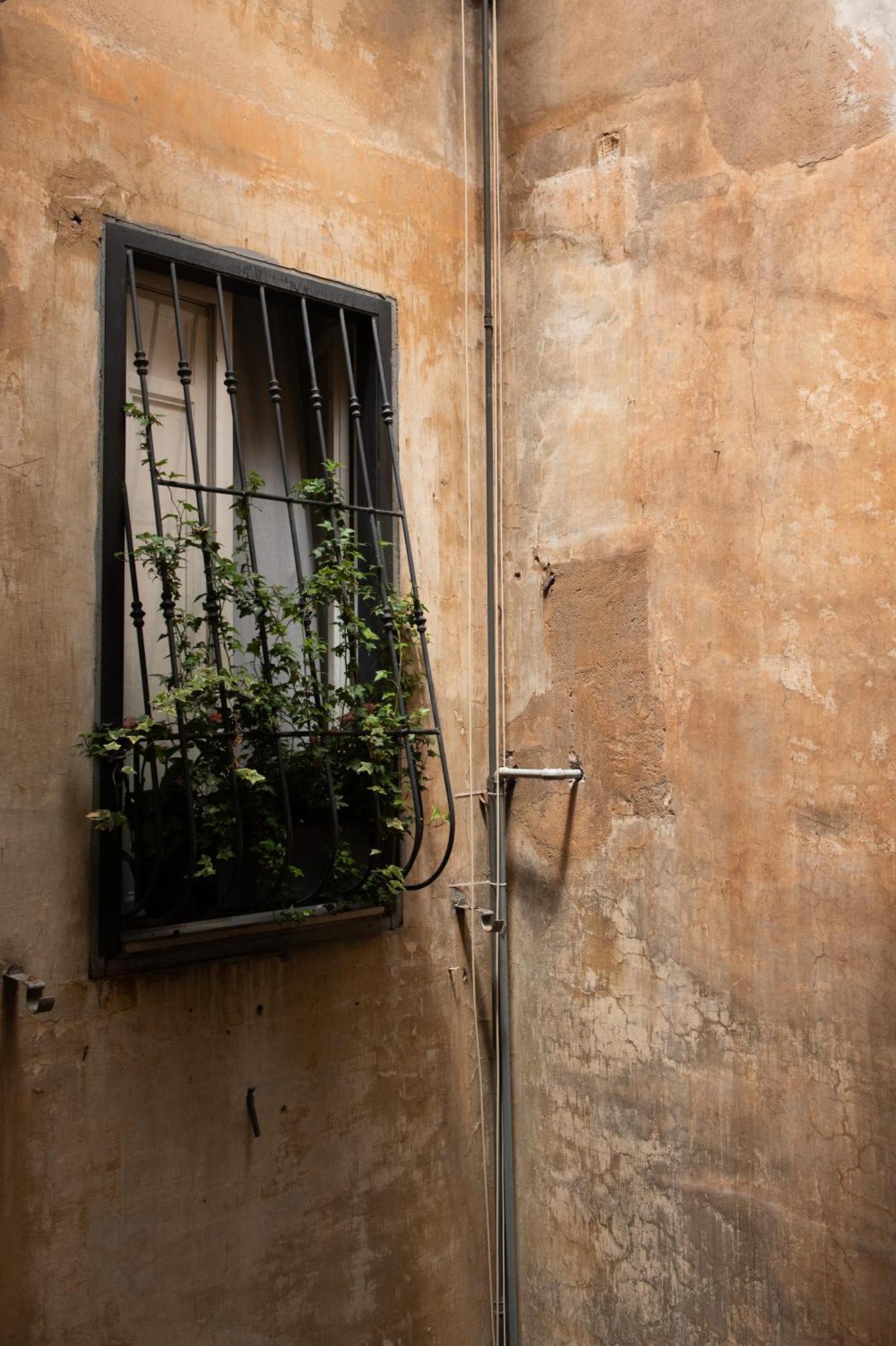 Colosseum View Accomodation Rome Exterior photo